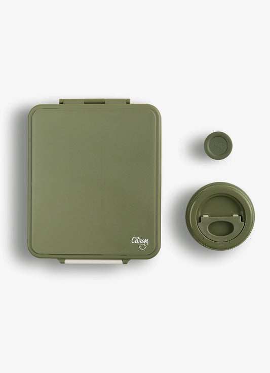 Grand Lunchbox - 4 Compartments - Green