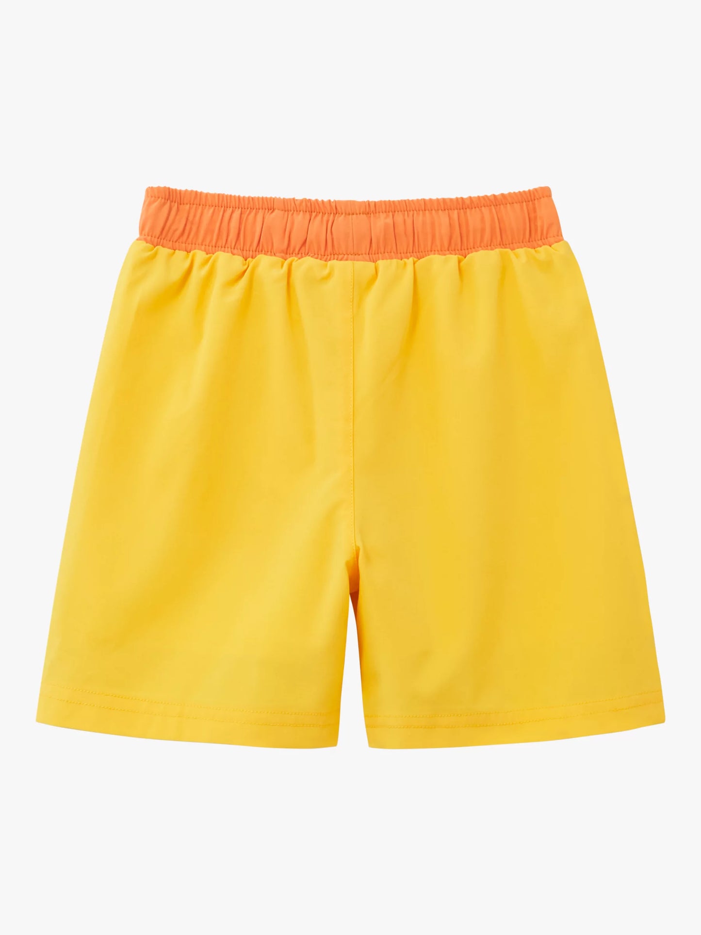 Cub the Lion Swim Shorts