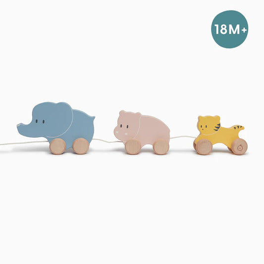 Wooden Pull-Along Toy - Animals