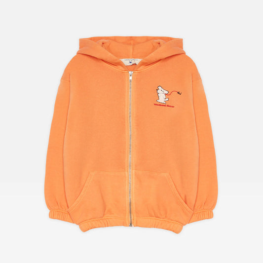 Dog Hoodie