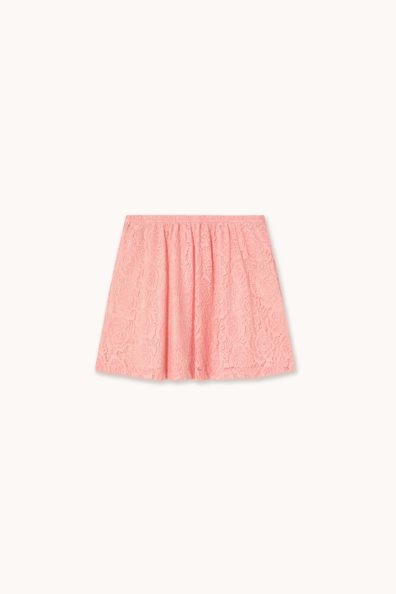 Lace Fabric Skirt