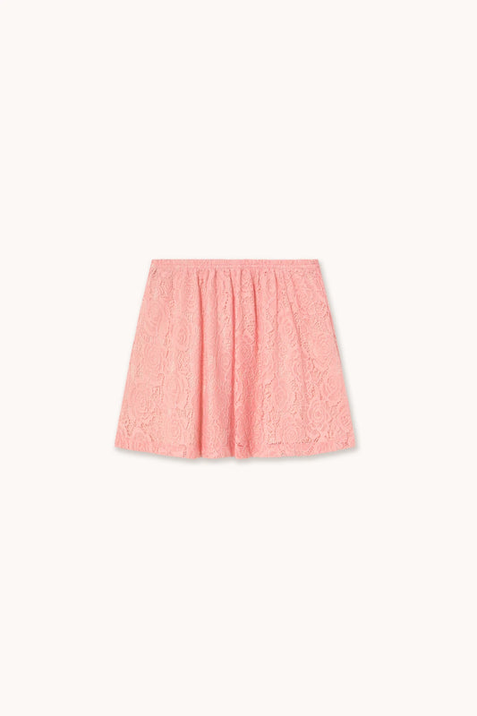 Lace Fabric Skirt