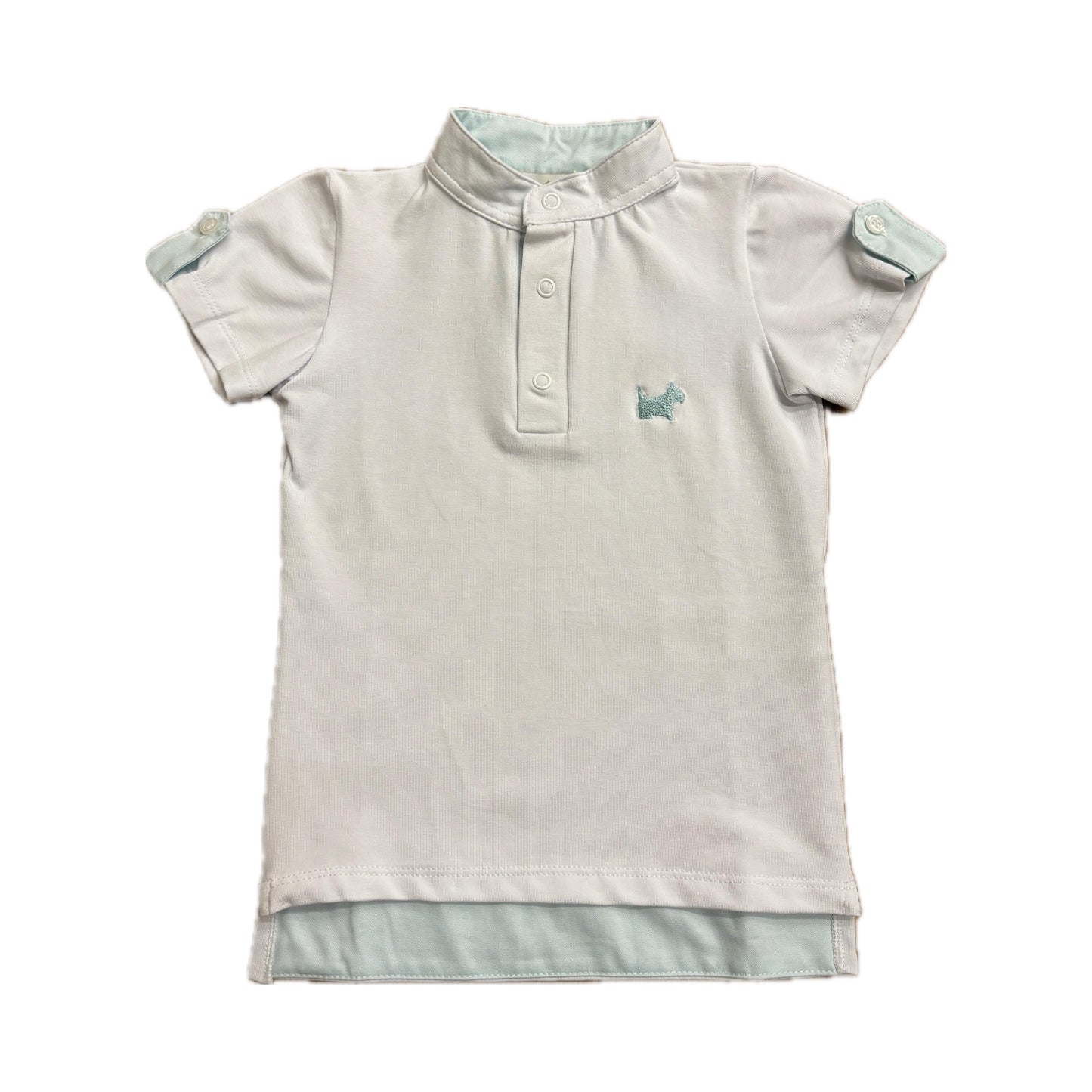 Aqua Green Polo