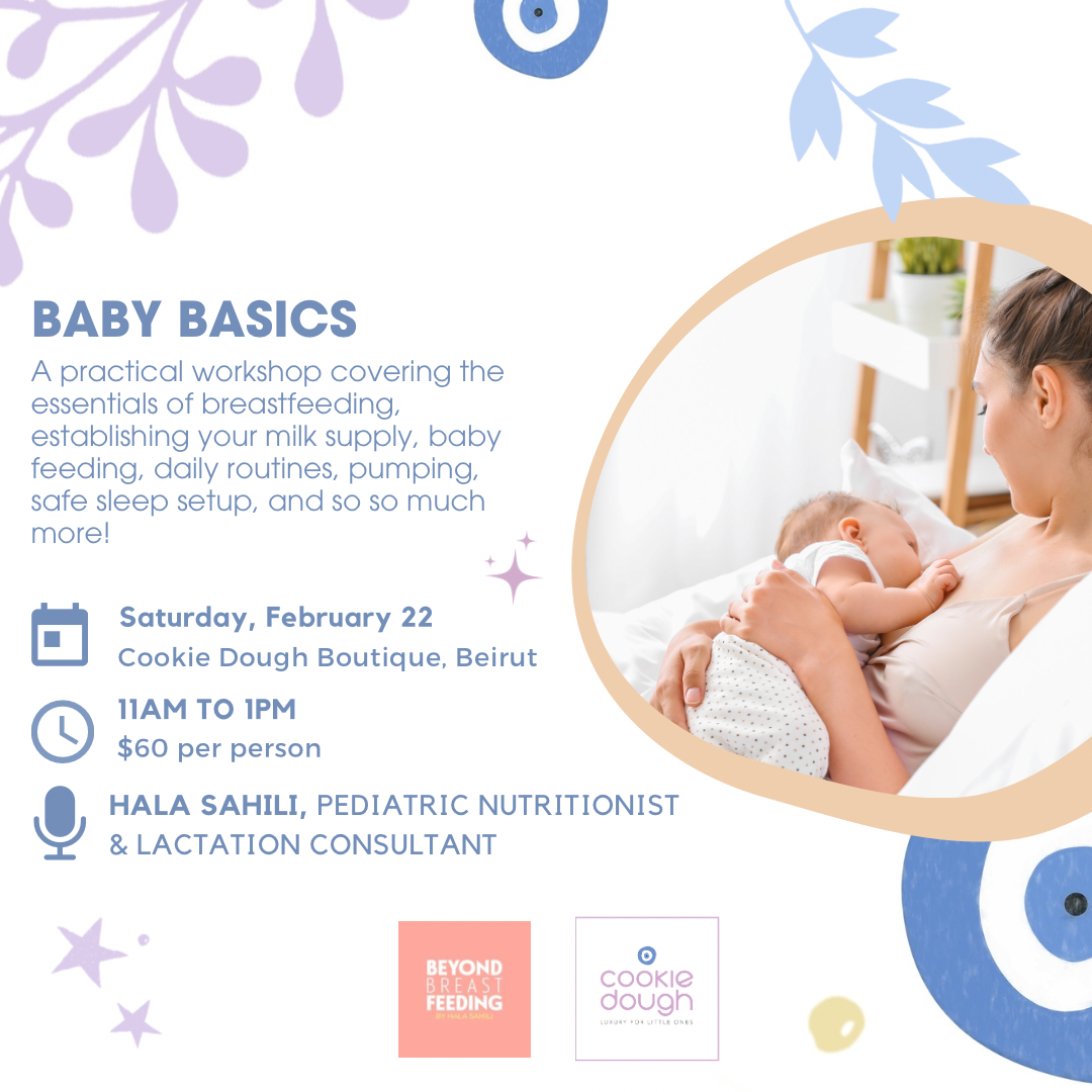 Baby Basics Workshop