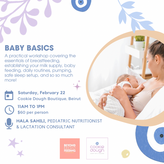 Baby Basics Workshop