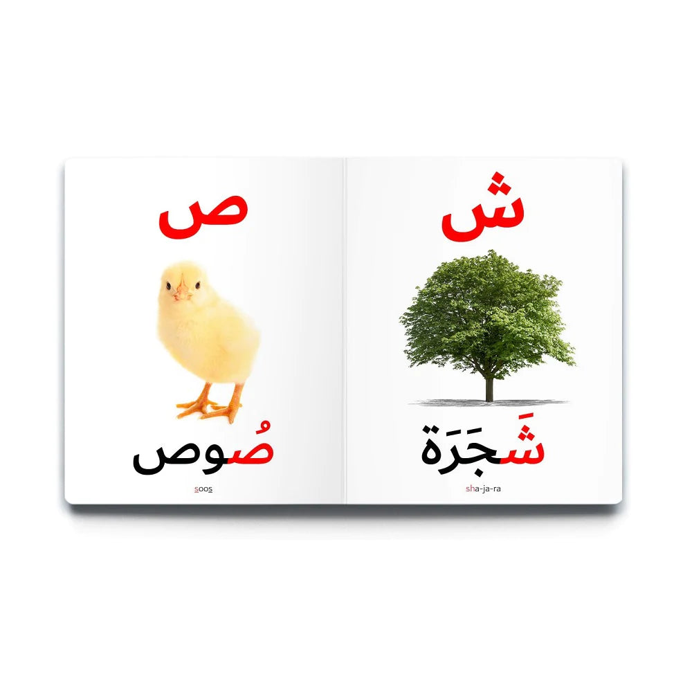 First Arabic Words - Set 1 (5 Books)
