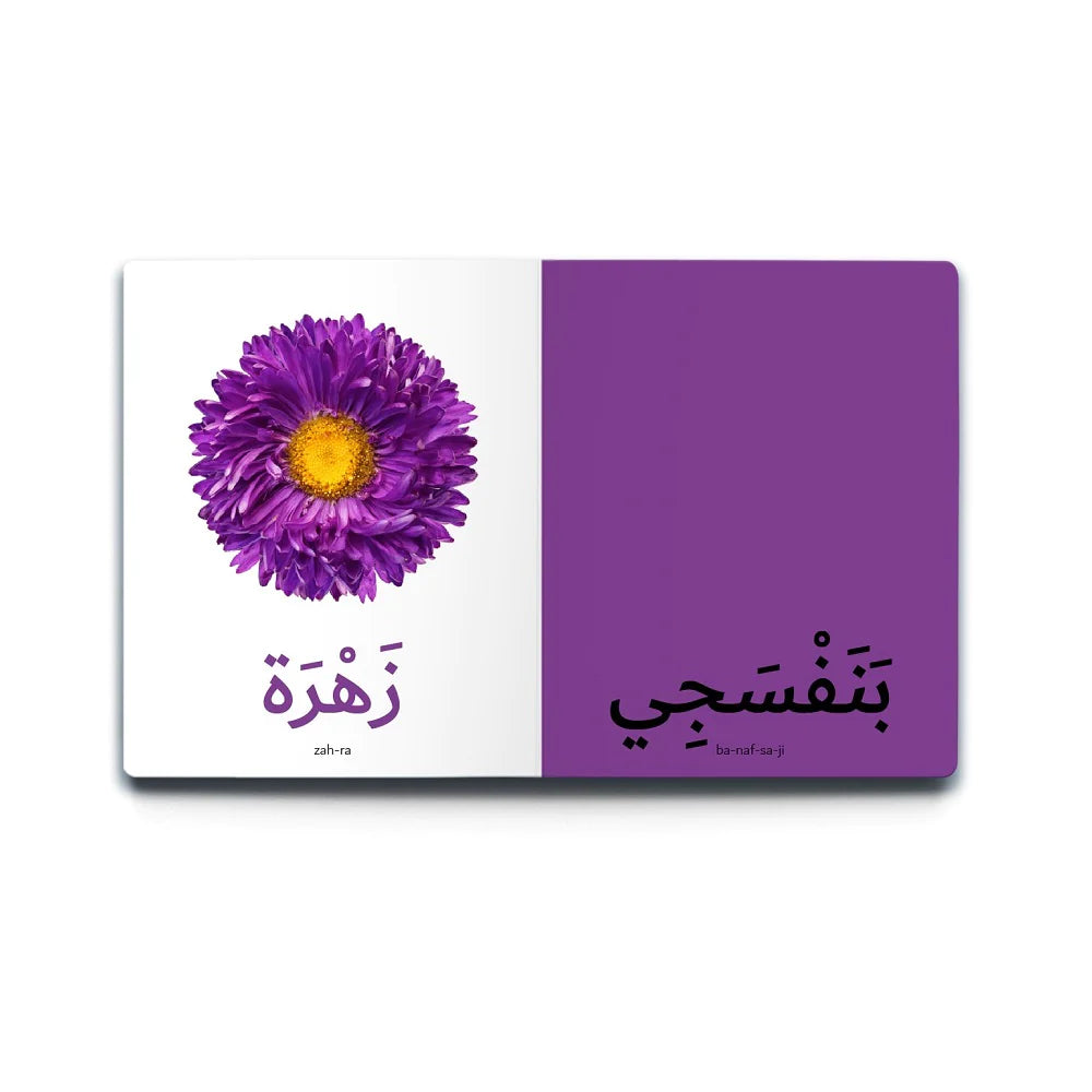 First Arabic Words - Set 1 (5 Books)