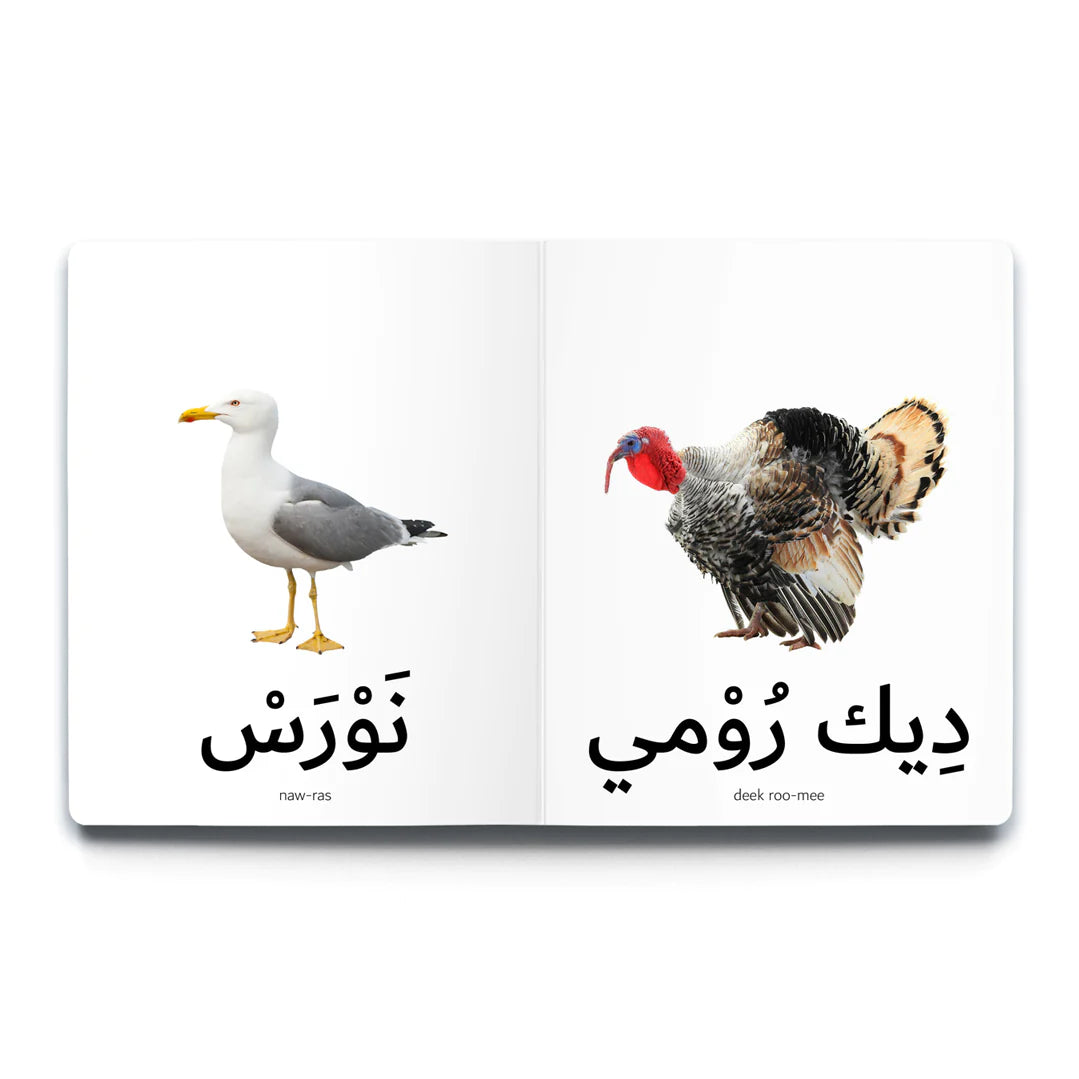 First Arabic Words - Set 4 (5 Books)