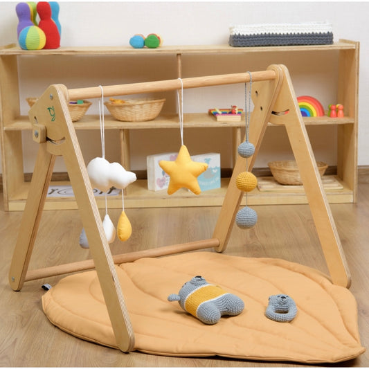 Montessori Baby Gym Gift Bundle